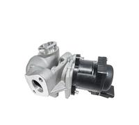 EGR VALVE Pour CITROEN Pour C3 Pour C4 Pour Grand Pour C5 1996-2013 1.6 HDI Vanne EGR 1618.NR 161859 6NU010171-101 1618.59 9685640480 1618NR 1338675 5S6Q9D475AA