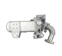 EGR Valve Pour Nissan NP300 Pour Navara Pour Pathfinder Pour Cabstar 2.5 DCI 147355X00B 147355X00A 700452 14735-5X00A Refroidisseur EGR 14735-5X00B
