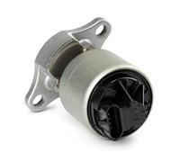 EGR VALVE Pour PASSPORT 1996 1997 1998 1999 2000 2001 2002 12568582 Vanne De Recirculation Des Gaz D'échappement EGR