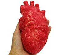Egujiwa Faux Coeur Humain Grandeur Nature Coeur Sanglant Horreur Coeur Orgue pour Jouets de Tour Halloween Accessoires Festival Décoration Maison Hantée (Rouge)