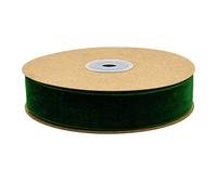 Egurs Ruban en velours, 10 m par rouleau, décoratif, 25 mm, pour bijoux, artisanat, bordure en velours, vert