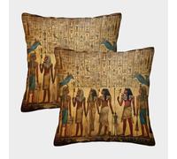 Égypte Antique Housse De Coussin 40x40cm Paquet De 2 Art Mural hiéroglyphique Taies d'oreiller Décorative Adaptée Au Lit,Voiture,canapé,Jardin