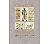 Egypte, un cabinet d'amateur, Regards insolites