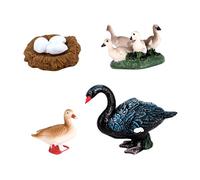 EHJRE Cycle de Vie Des Animaux - Cygne, Cigale, Saumon, Abeille, Des œufs Aux Adultes - Figurines éducatives Peintes à La Main - Matériaux - À Partir de 4 A, Cygne noir