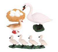 EHJRE Cycle de Vie Des Animaux - Cygne, Cigale, Saumon, Abeille, Des œufs Aux Adultes - Figurines éducatives Peintes à La Main - Matériaux - À Partir de 4 A, Cygne blanc