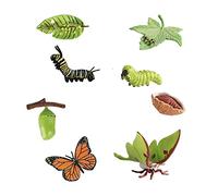 EHJRE Ensemble de Jeu de Cycle de Vie de Papillon, Croissance Animale pour Thème