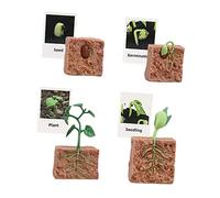 EHJRE Jouet de Figurines de Cycle de Vie, Science de La Biologie, Jouets de Figurines d'animaux Modèles de Stade de Croissance pour Les Tout-Petits, Croissance des Plantes