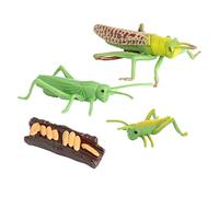 EHJRE Le Cycle de Vie de Croissance D'abeille D'insecte D'enfants En Plastique Figure Des Jouets D'apprentissage D'éducation, EmplacementC