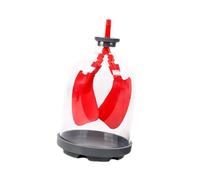 EHJRE Modèle de Démonstration de La Fonction Pulmonaire Modèle de Respiration Pulmonaire Modèle D'assemblage Outil D'enseignement Amovible Pendant Plus de 8, Rouge