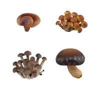 EHJRE Simulation de Cycle de Croissance de Champignons, Ensemble de Jouets éducatifs, Accessoires D'enseignement Scientifique, Kit D'apprentissage de, Champignons Bruns