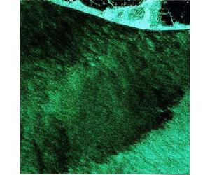 Ehlers, Ekkehard - Plays Hubert Fichte-Mlp [Import]