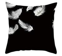EHOMERY Housse Coussin Caravane Les Housses La Plume Velours Housses De Coussin Housse De Coussin Imperméable Taie d'oreiller Personnalisable Décoration Noir Blanc 20X20 inches