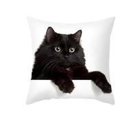 EHOMERY Housse De Coussin XXL Taie d'oreiller La Reine des Neiges Le Chat Polyester Housses De Coussin Housse Coussin Canapé Imperméable Taie d'oreiller Motif Noir 40X40 cm
