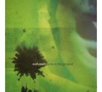 Eiafuawn - Birds in The Ground-White Vinyl [Import]