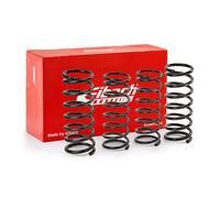 EIBACH E10-82-001-01-22 Ressorts de suspension