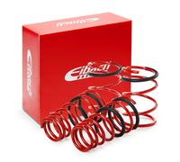 1x Kit de suspension, ressorts EIBACH E20-42-003-02-22 convient pour