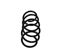 EIBACH R10018 Ressort de suspension