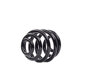 EIBACH R10091 2x Ressort de suspension Essieu arrière