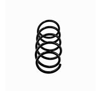 EIBACH R10539 Ressort de suspension