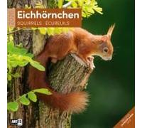 Eichhörnchen Broschürenkalender 2026 - 30x30 - Art12 | Niedlicher Tier-Kalender im schlanken Hochformat (aufgeklappt 30x60 cm) | Eintrage-Kalendarium