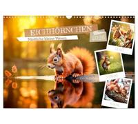 EICHHÖRNCHEN Petits êtres adorables, Version française (Calendrier mural 2026 DIN A3 portrait), Calendrier CALVENDO mensuel