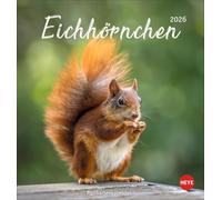 Eichhörnchen Postkartenkalender 2026: Dekorativer Monats-Tischkalender zum Aufstellen oder Aufhängen. Fotokalender voll niedlicher Eichhörnchenbilder, als Postkarten zum Sammeln und Verschicken.