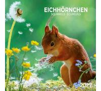 Eichhörnchen / Squirrels 2027: Kalender 2027