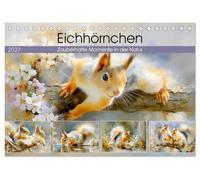 Eichhörnchen. Zauberhafte Momente in der Natur (Tischkalender 2027 DIN A5 quer), CALVENDO Monatskalender: Malerische Bilder mit niedlichen Eichhörnchen in sanften, künstlerischen Naturdarstellungen
