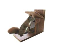 Eichhörnchenkasten 22x12x25 CM, Bois Dur Maison Petite Faune Verre Doublure Neuf
