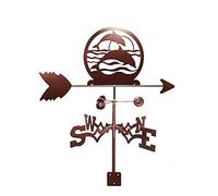 EICOFF Girouette, Dauphin Silhouette Toit Mont Indicateur de Direction du Vent Girouette Outil de Mesure en Acier Inoxydable pour Jardin Patio Cour Décoration