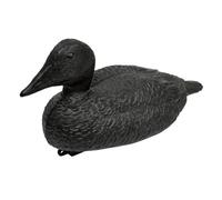 Eider Réaliste Traitement Anti Reflet Noir À L'unité