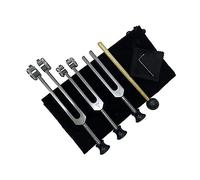 Eieenotee Ensemble de Diapasons (128Hz, 256Hz, 512Hz) pour Th¨¦Rapie avec Marteau en Silicone, Outil de R¨¦Paration, Chiffon de Nettoyage et Sac de Rangement