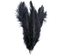 Eieenotee Nouveau Style Reel Naturel 10-12 Pouces Plumes d'autruche Grandes Decorations Noires