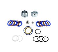 Eighosee 248212 Kit de Réparation de Pompe Pièces Accessoires pour Pulvérisateurs de Peinture Sans Air Ultra Max II 695 795 LineLazer 3900 Marché Secondaire