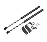 Eighosee Lot de 2 vérins à gaz pour capot de moteur pour Focus 4 MK4 2019