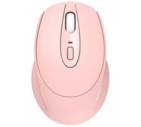 Eighosee Souris sans portable 2,4 GHz silencieuse pour étudiant Rose Art mignon souris pour bureau ordinateur portable de bureau