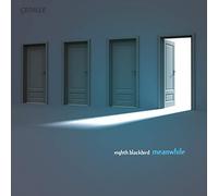 Eight Blackbird - Meanwhile
