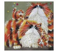 Eight More Paws - Une de nos cartes de vœux amusantes « Blue Eyes » de Kim Haskins