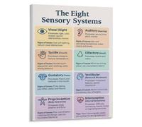 Eight Sensory Systems Poster Visual Auditory Interoception Processing Guide | Complete overview of all eight sensory systems including tactile vestibular proprioception and(Unframed,12x18inch(30x45cm))