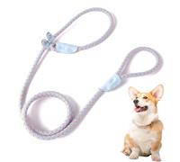 EIHI 1 pièce Laisse pour chien ajustable anti-explosion, Longe pour Chien,Laisse de Dressage pour Chien, Longe Robuste pour Petits, Moyens et Grands Chiens, bleu orange