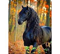 Eiialerm Kits de point de croix pour adultes Cheval noir animal DIY de broderie estampillés pour Kit,11CT debutant kits de au point de croix imprimés 40x50cm