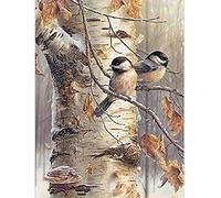 Eiialerm Kits de point de croix pour adultes Oiseau sur branche DIY de broderie estampillés pour Kit,11CT debutant kits de au point de croix imprimés 40x50cm