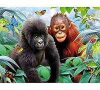 Eiialerm Kits de point de croix pour adultes singe animal DIY de broderie estampillés pour Kit,11CT debutant kits de au point de croix imprimés 40x50cm