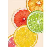 Eiialerm Kits de point de croix pour adultes Tranches de citron DIY de broderie estampillés pour Kit,11CT debutant kits de au point de croix imprimés 40x50cm