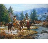 Eiialerm Point de croix kit complet kits animal cheval indien 11CT Toile Pré-imprimé DIY Adulte Kits Broderie Estampillés Pour Noel Décoration la Maison 40x50cm