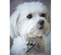 Eiialerm Point de croix kit complet kits animal chien maltais 11CT Toile Pré-imprimé DIY Adulte Kits Broderie Estampillés Pour Noel Décoration la Maison 40x50cm