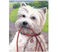 Eiialerm Point de croix kit complet kits animal chien westie 11CT Toile Pré-imprimé DIY Adulte Kits Broderie Estampillés Pour Noel Décoration la Maison 40x50cm