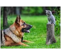 Eiialerm Point de croix kit complet kits Berger allemand 11CT Toile Pré-imprimé DIY Adulte Kits Broderie Estampillés Pour Noel Décoration la Maison 40x50cm