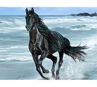 Eiialerm Point de croix kit complet kits cheval animal qui court au bord de la mer 11CT Toile Pré-imprimé DIY Adulte Kits Broderie Estampillés Pour Noel Décoration la Maison 40x50cm