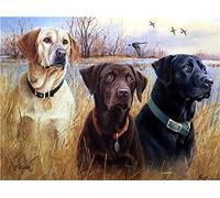 Eiialerm Point de croix kit complet kits colvert golden retriever du labrador 11CT Toile Pré-imprimé DIY Adulte Kits Broderie Estampillés Pour Noel Décoration la Maison 40x50cm